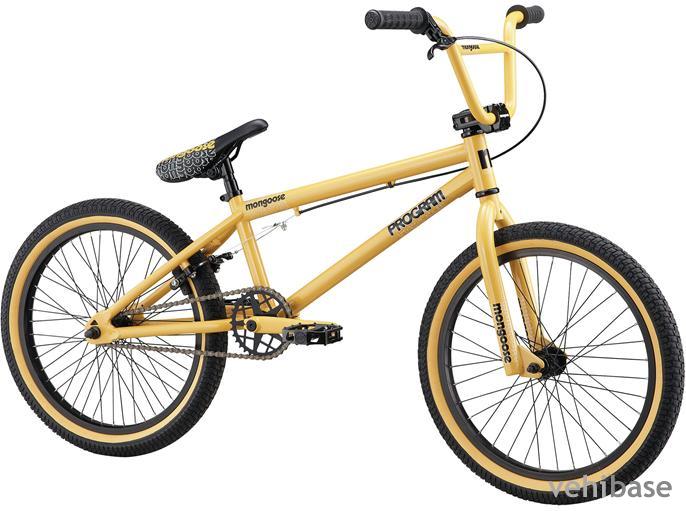 Mongoose Program