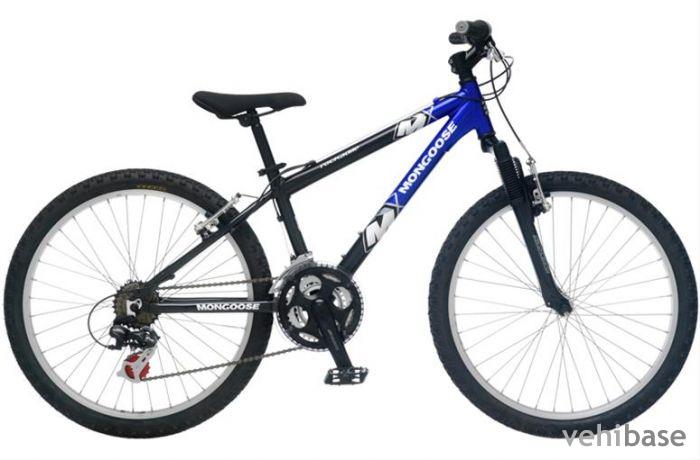 Mongoose Rockadile AL24