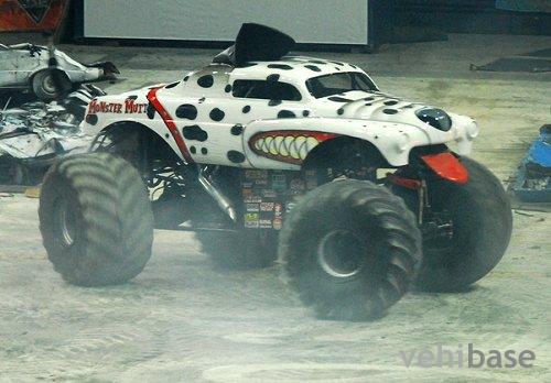 Monster Mutt Dalmatian