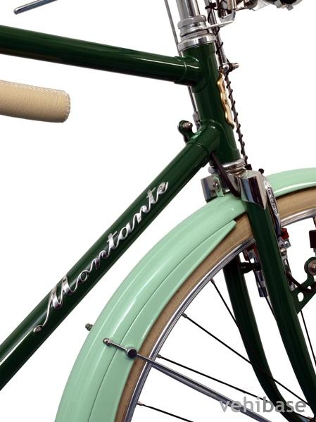 Montante Evergreen