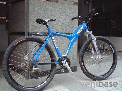 Mountain Cycle Moho STS