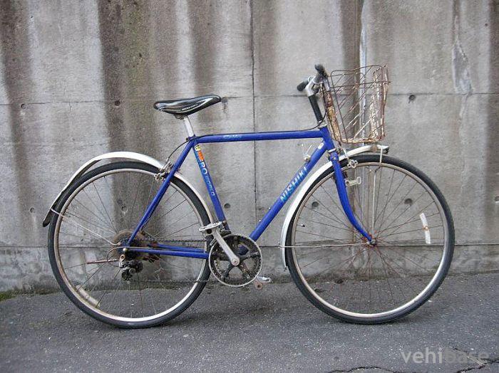 Nishiki Aero World