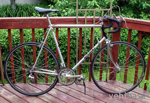 Nishiki Landau