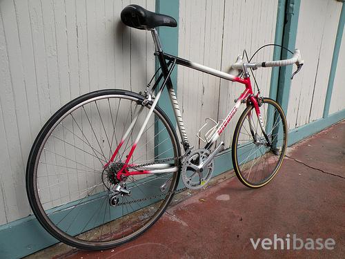 Nishiki Linear