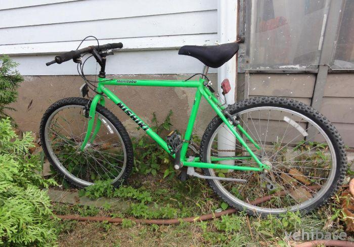 Nishiki Manitoba