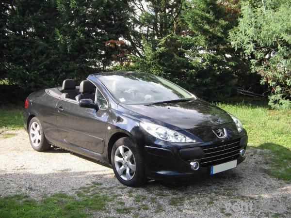Peugeot 307 CC 2.0e 141