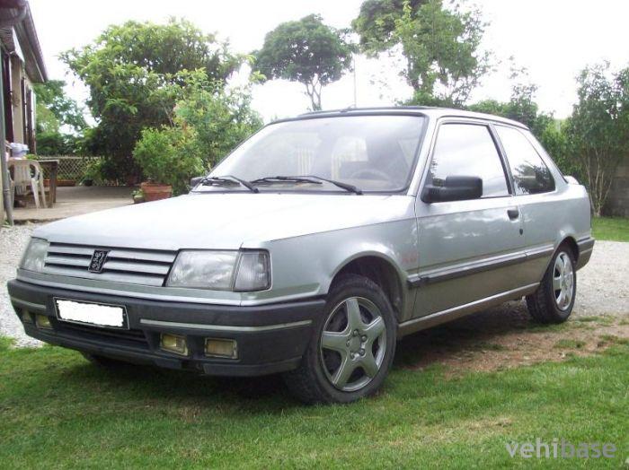 Peugeot 309 XS 1.9