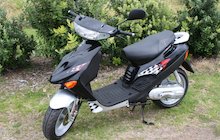 Adly SF-100 Silver Fox