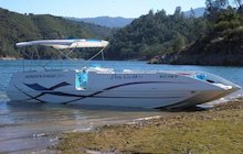 Advantage Party Cat XL 28