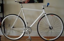 Affinity Lo Pro