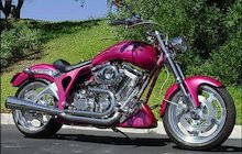 American Eagle Falcon MS Cruiser