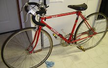 Apollo Sport 10
