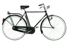 Atala Cita Donna