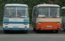 Autosan H9-21 Kleks