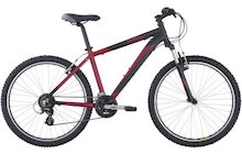 Avanti Black Thunder 26.1