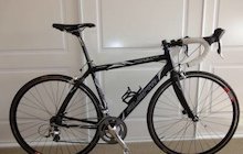 Avanti Corsa Elite