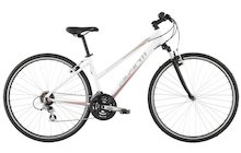 Avanti Explorer 1.0 Low