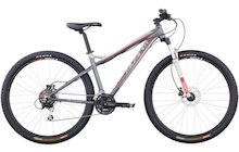 Avanti Montari 29