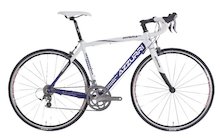 Azzurri Imperia Elite