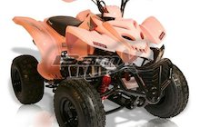 BamX BX200-S Charger