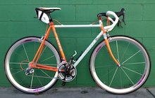 Basso Ascot