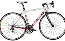 Basso Devil Donna