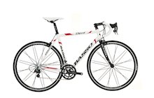 Basso Devil