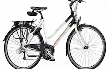 Batavus Apache Supreme