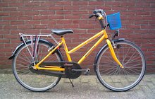 Batavus Beagle