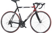 Batavus Champion