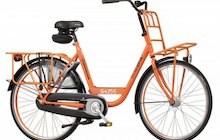 Batavus Personal Bike Delivery