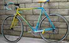 Batavus Professional