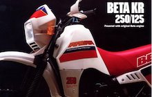 Beta Motor KR 250