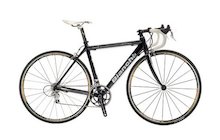 Bianchi Daniela
