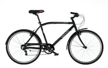 Bianchi Milano Alfine
