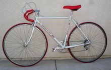 Bianchi Nuova Alloro