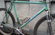Bianchi Peregrine