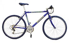 Bianchi RCX 222