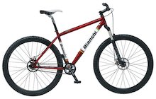 Bianchi Rita