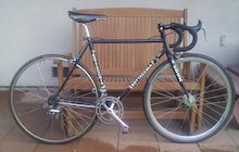 Bottecchia Campione Del Mondo