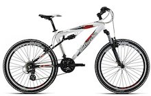 Bottecchia FR 660