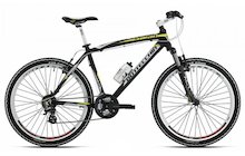 Bottecchia Fx 510