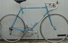 Bottecchia Professional