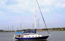 Bristol 33