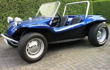 Buggys Haz-Buggy