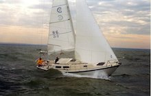 Cal 31