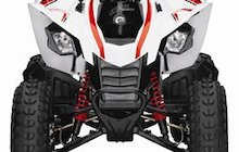 Can-Am DS 250