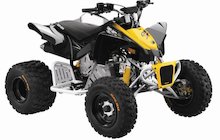 Can-Am DS 90 X