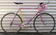 Centurion Dave Scott Ironman Expert