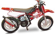 Clipic Bull 50 Junior